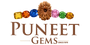Puneet Gems Stone