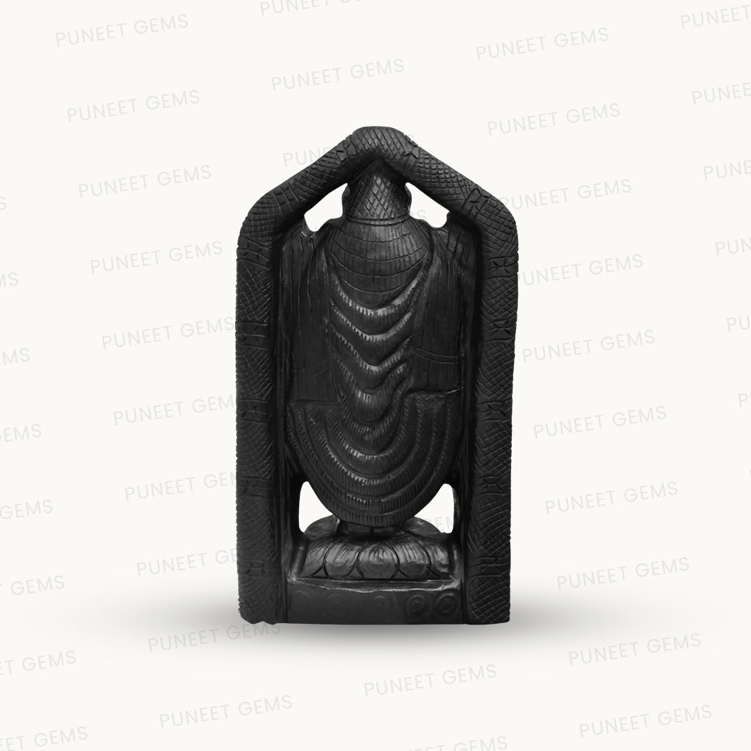 Shaligram Tirupati Balaji Figure