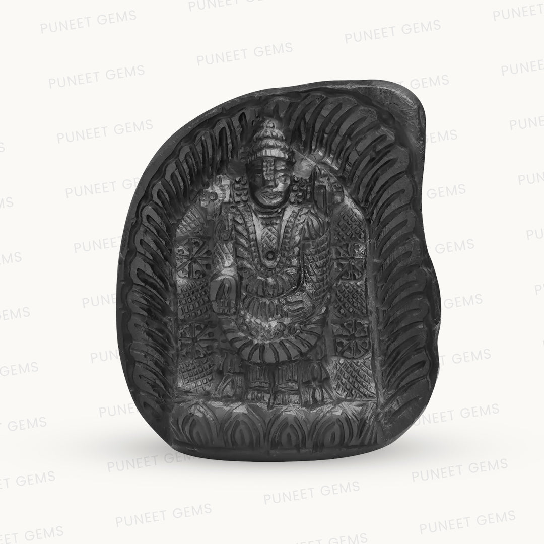 Shaligram Tirupati Balaji with Sudarshan Chakra Figure