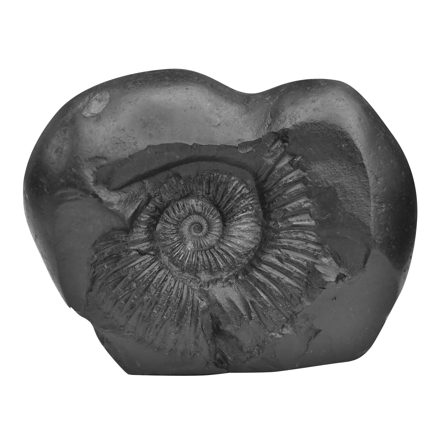 Shaligram Vishnu Ji & Laxmi Ji with Sudarshan Chakra Figure