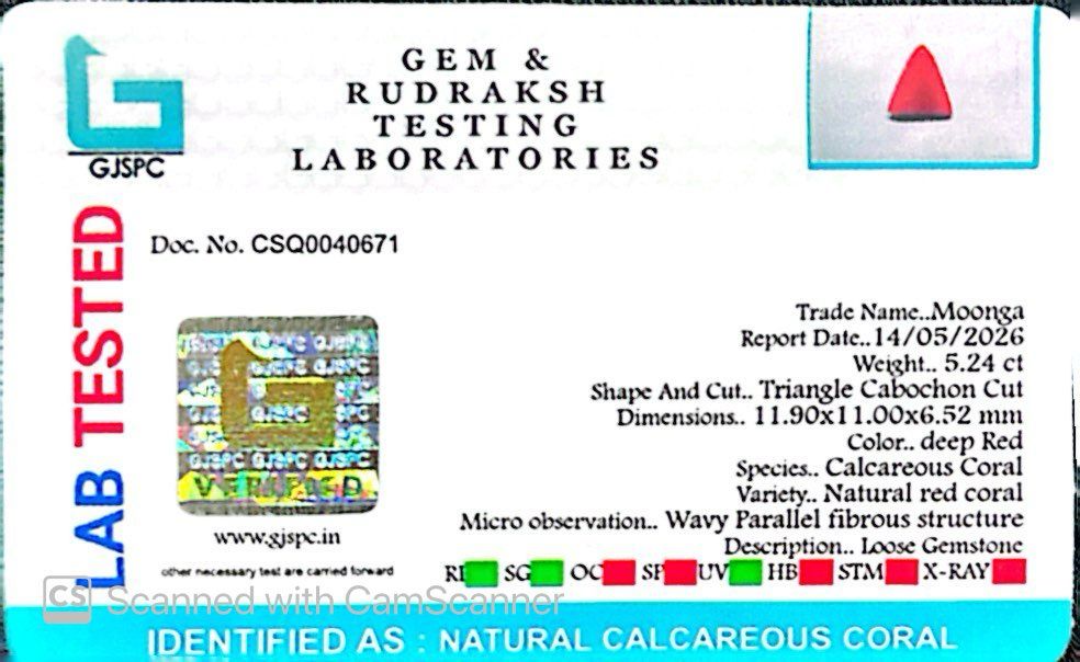 Natural Triangle Coral – The Gem of Strength, Vitality & Protection 5.24 CT