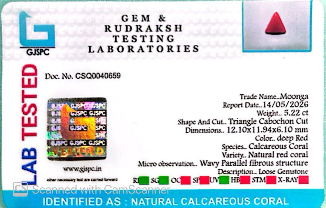 Natural Triangle Coral – The Gem of Strength, Vitality & Protection 5.22 CT