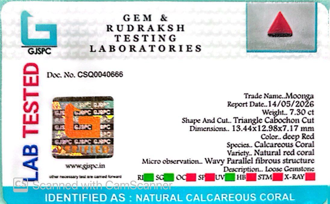 Natural Triangle Coral – The Gem of Strength, Vitality & Protection 7.30 CT