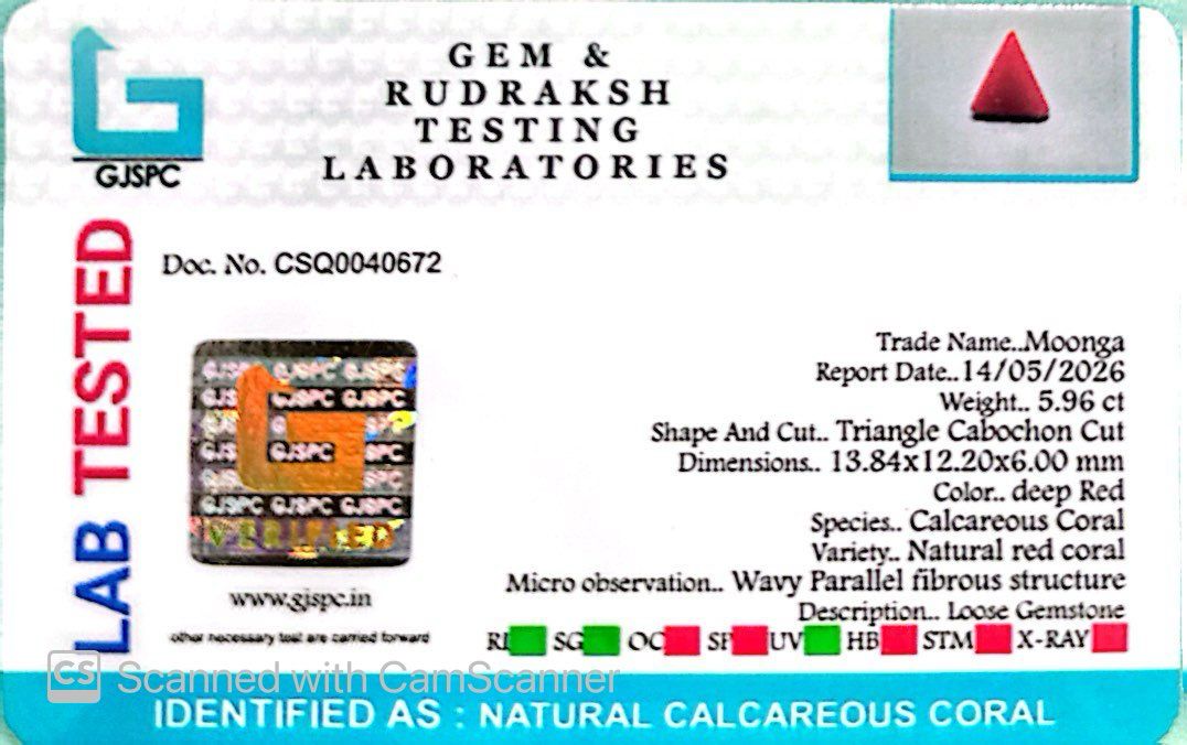 Natural Triangle Coral – The Gem of Strength, Vitality & Protection 5.96 CT