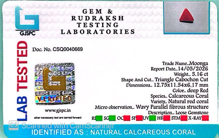 Natural Triangle Coral – The Gem of Strength, Vitality & Protection 5.16 CT