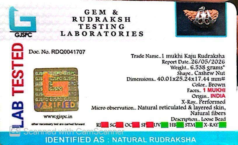 1 Mukhi Rudraksha Trishul Silver Locket