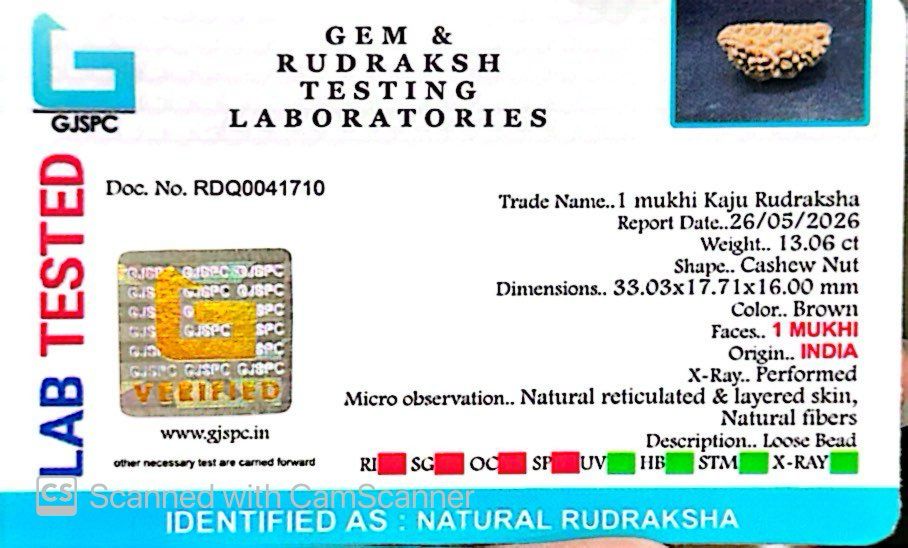 1 Mukhi South Indian Rudraksha