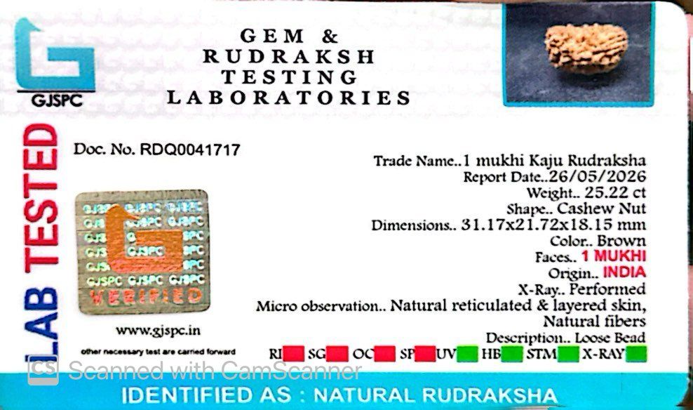 1 Mukhi South Indian Rudraksha