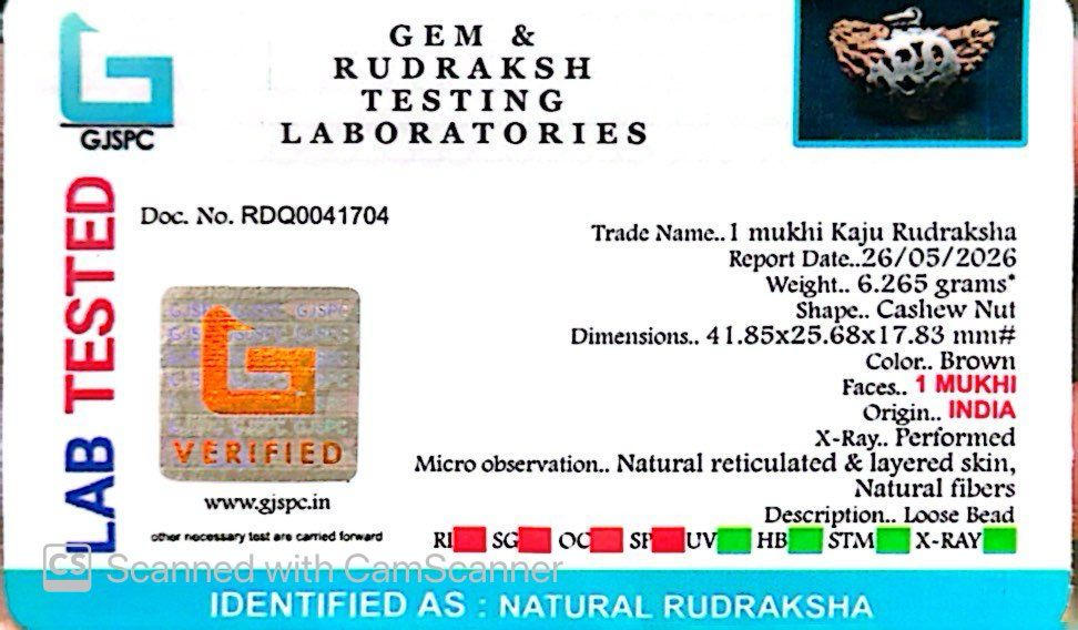 1 Mukhi Rudraksha Om Silver Locket
