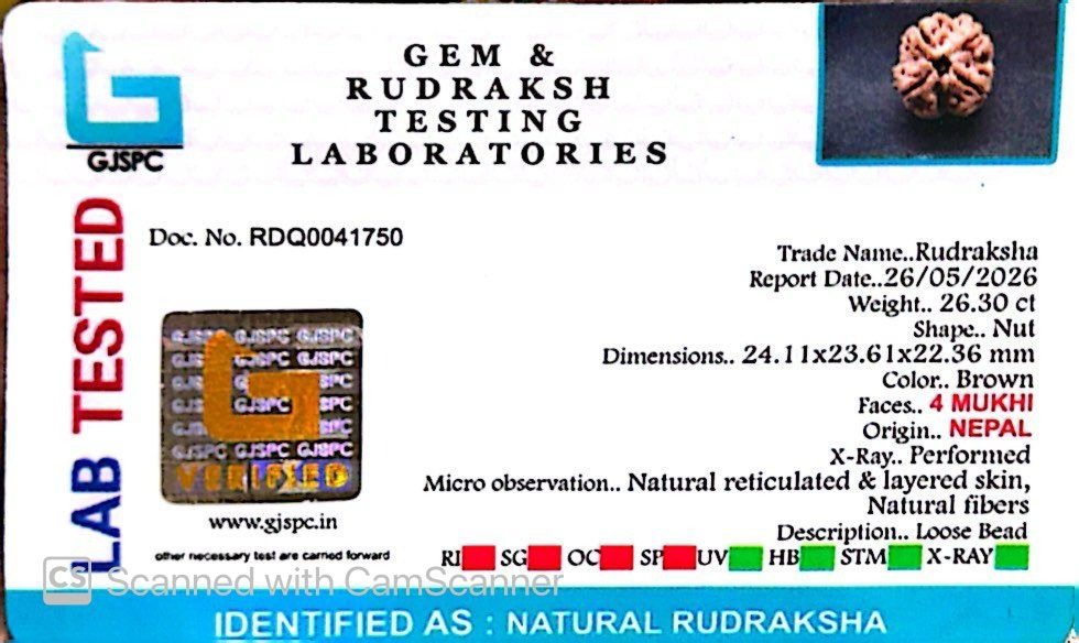 4 Mukhi Nepali Rudraksha
