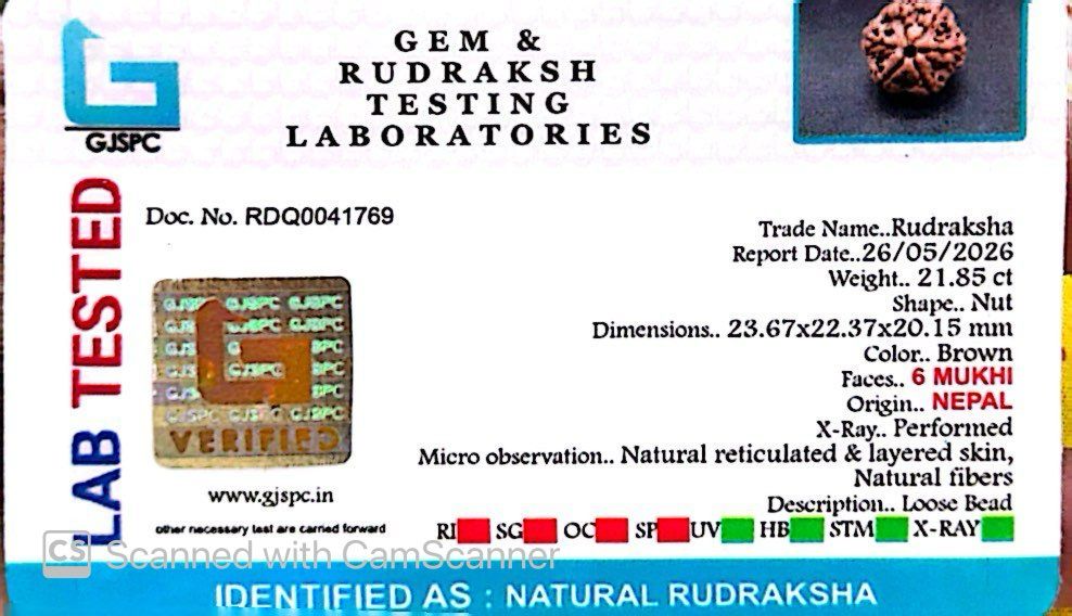 6 Mukhi Nepali Rudraksha