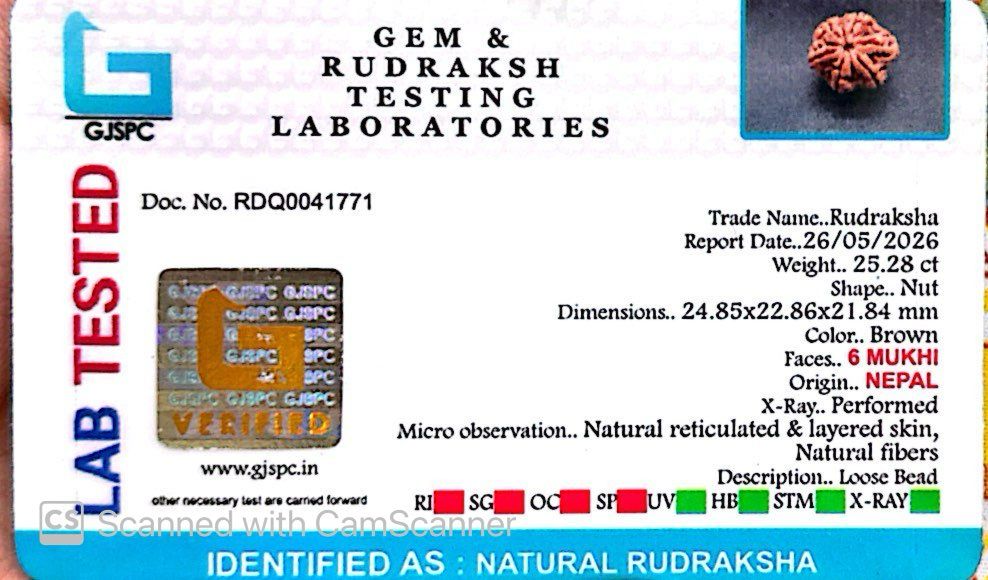 6 Mukhi Nepali Rudraksha
