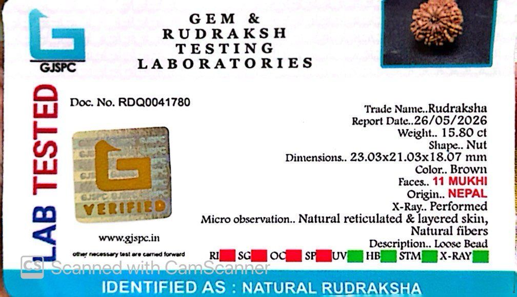 11 Mukhi Nepali Rudraksha