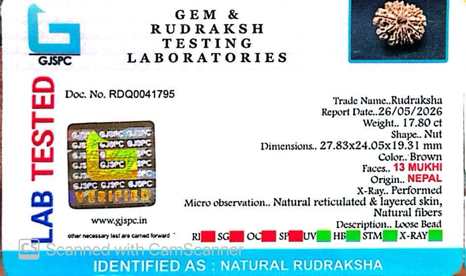✨ Benefits of 13 Mukhi Rudraksha (Natural & Certified) Big