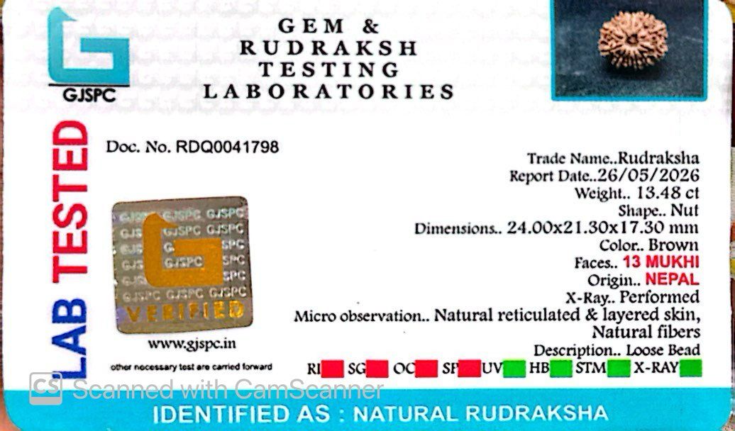 ✨ Benefits of 13 Mukhi Rudraksha (Natural & Certified) Small