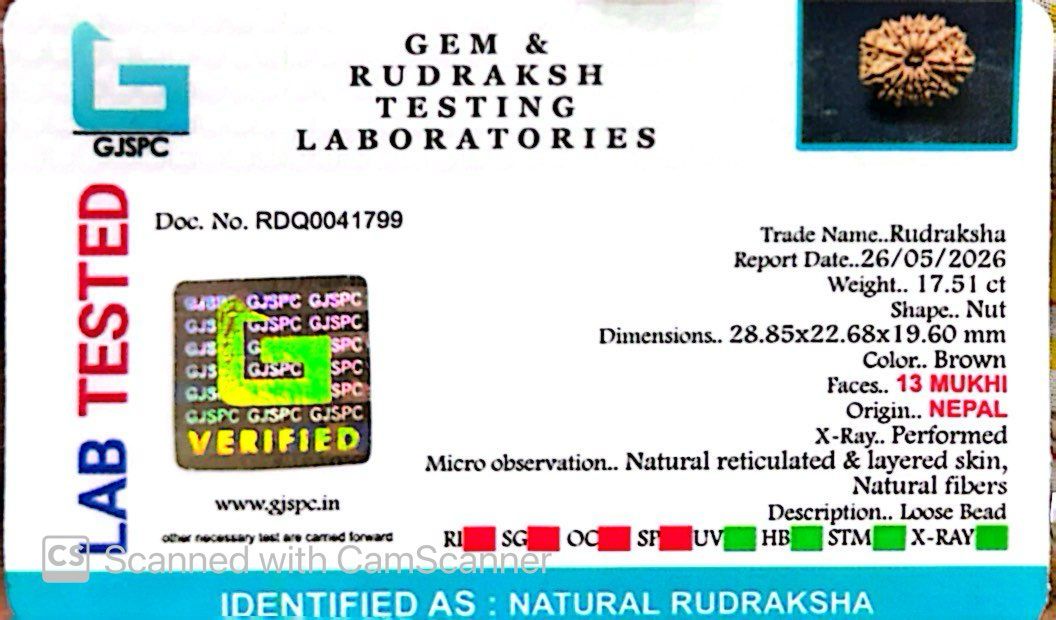 ✨ Benefits of 13 Mukhi Rudraksha (Natural & Certified) Big