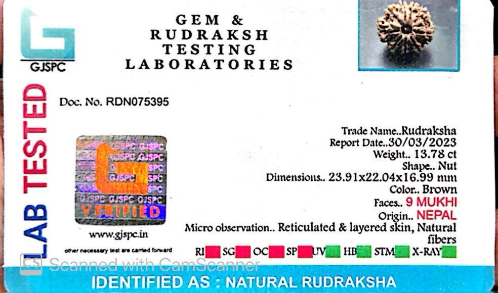 Natural 9 Mukhi Rudraksha – The Bead of Power, Courage & Divine Energy