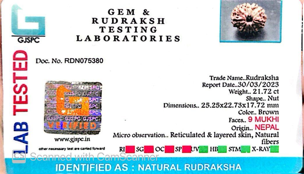 Natural 9 Mukhi Rudraksha – The Bead of Power, Courage & Divine Energy