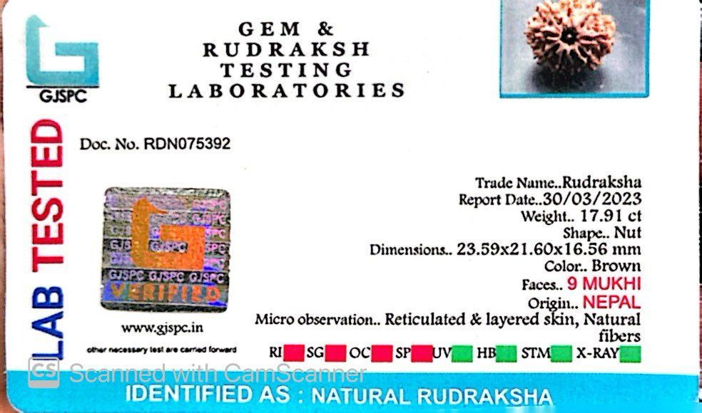 Natural 9 Mukhi Rudraksha – The Bead of Power, Courage & Divine Energy