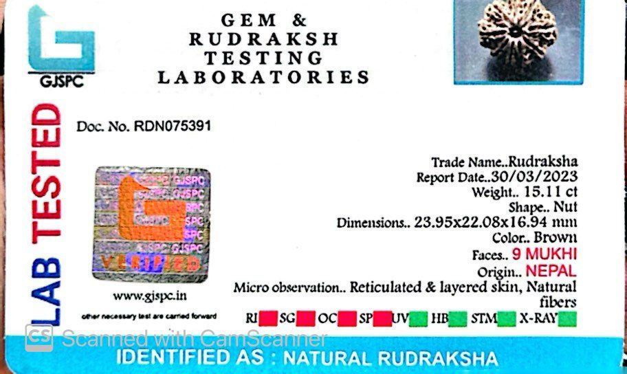 Natural 9 Mukhi Rudraksha – The Bead of Power, Courage & Divine Energy