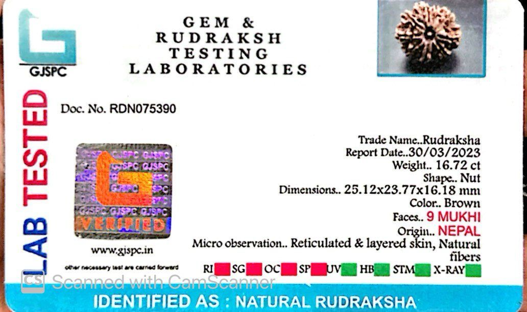 Natural 9 Mukhi Rudraksha – The Bead of Power, Courage & Divine Energy