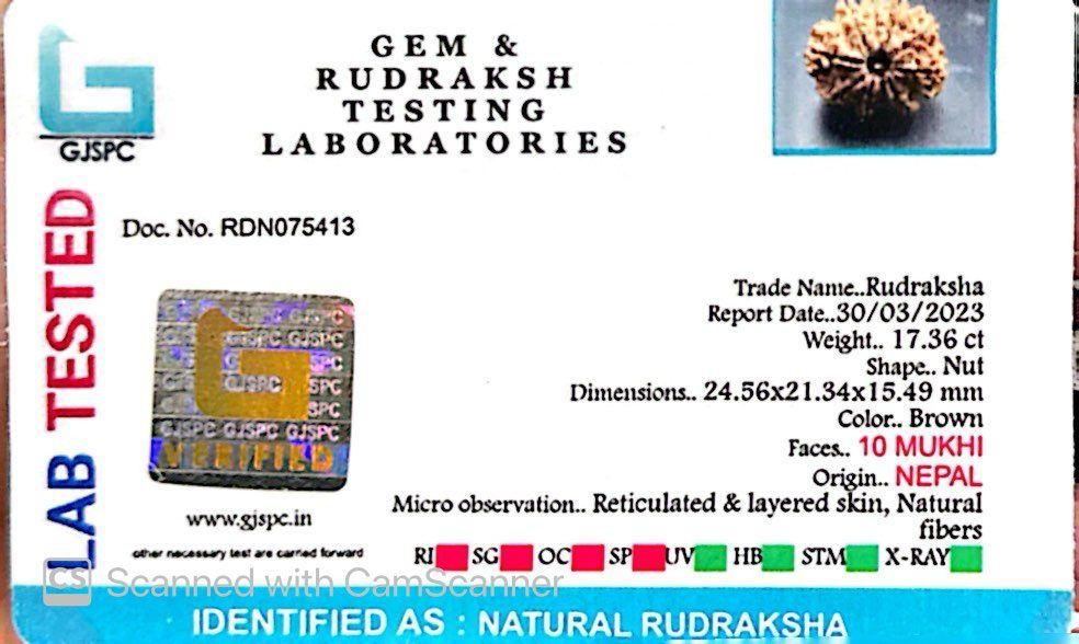 Natural 10 Mukhi Rudraksha – Empowered Protection & Divine Shield