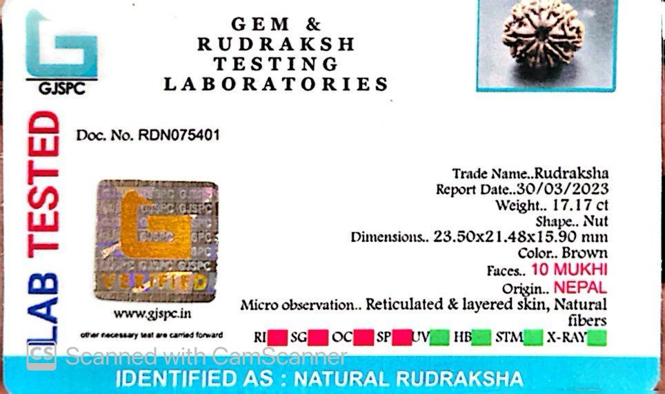 Natural 10 Mukhi Rudraksha – Empowered Protection & Divine Shield