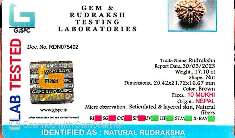 Natural 10 Mukhi Rudraksha – Empowered Protection & Divine Shield