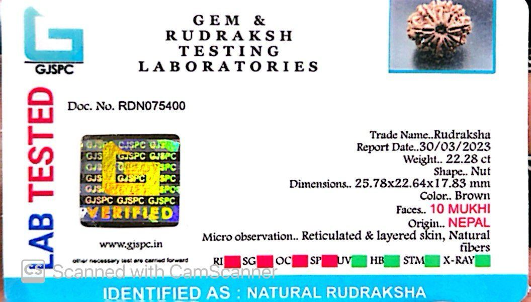 Natural 10 Mukhi Rudraksha – Empowered Protection & Divine Shield