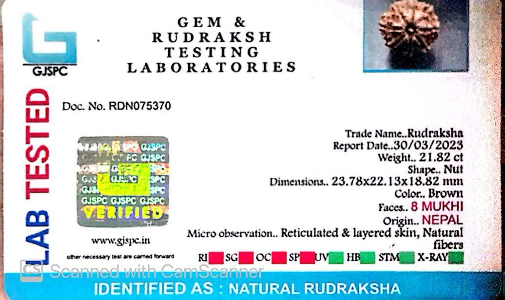 Natural 8 Mukhi Rudraksha – Symbol of Success & Wisdom