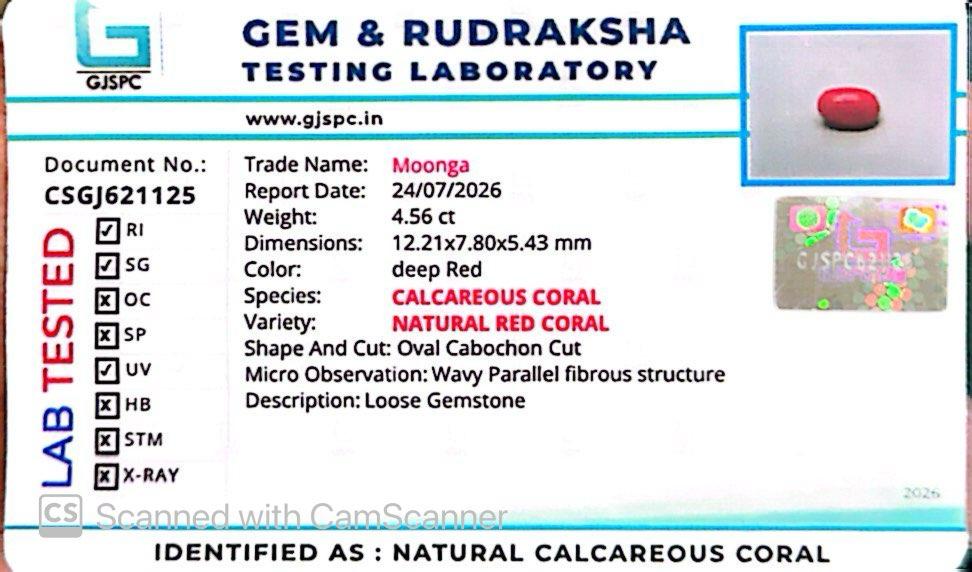 Natural Red Coral (Moonga) – Italy Origin – Certified & Untreated Gemstone for Mars Energy 4.56 CT