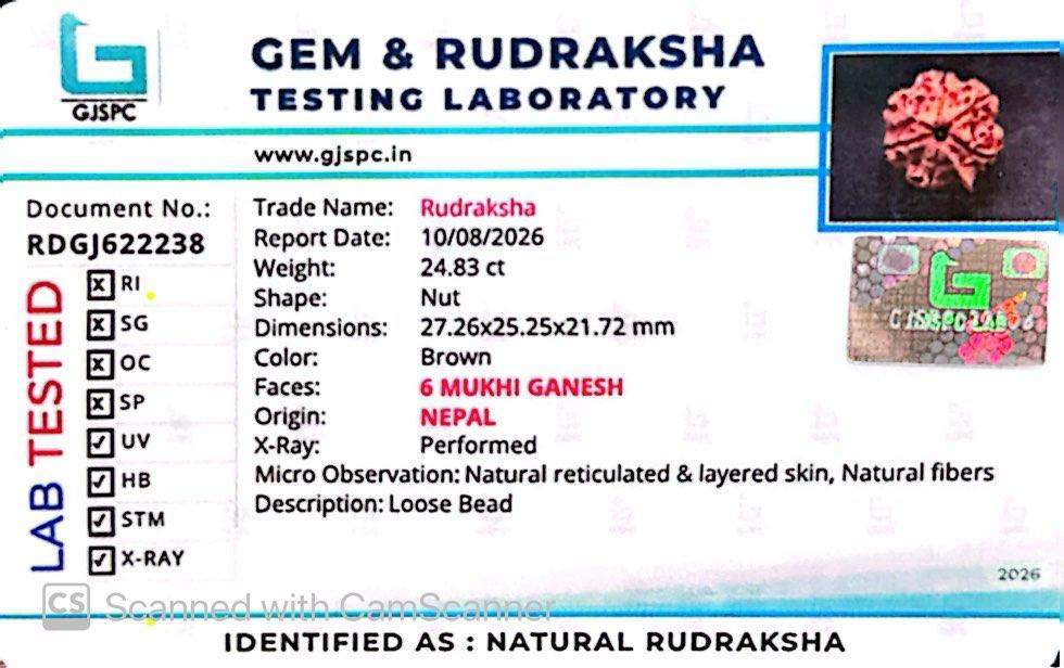 Nepali 6 Mukhi Ganesh Rudraksha