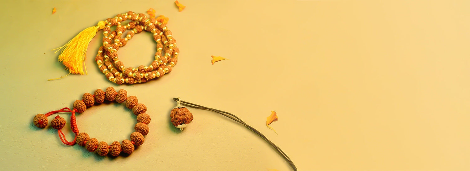 Unlocking the Power of Rudraksha: Benefits, Uses, and a Complete Guide