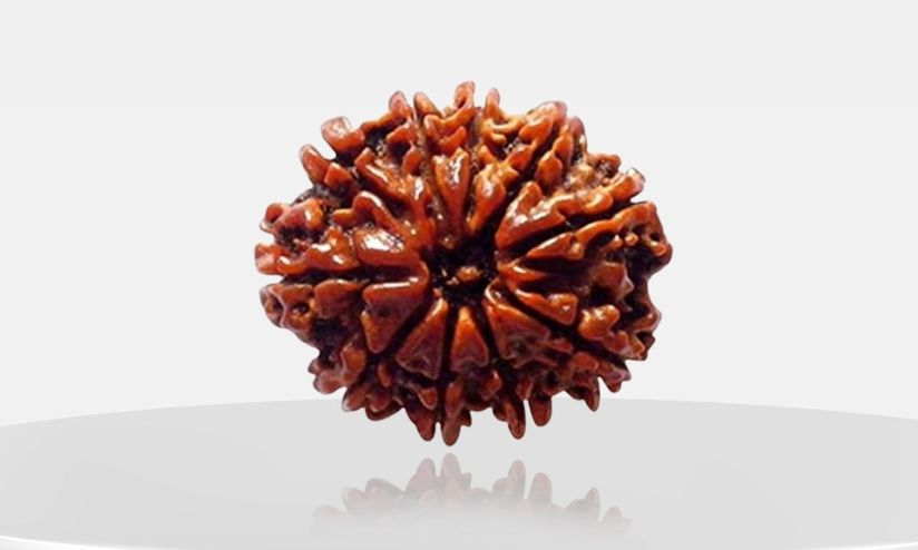 Buy Rudraksha Online – Experience Divine Energy with Puneet Gems