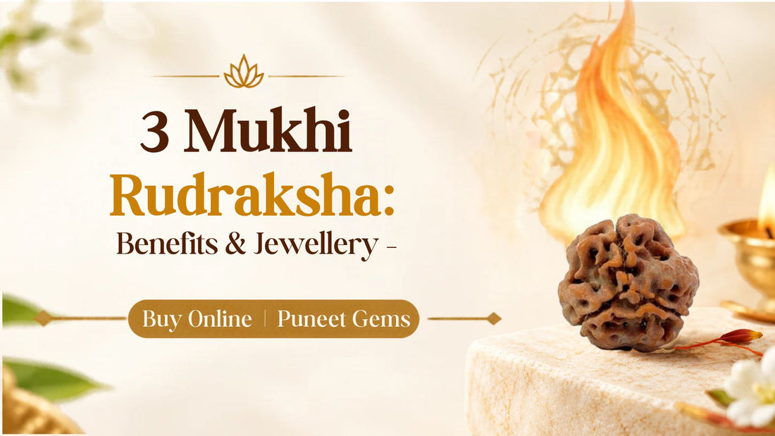 3 Mukhi Rudraksha: Benefits & Jewellery – Buy Rudraksh Online | Puneet Gems