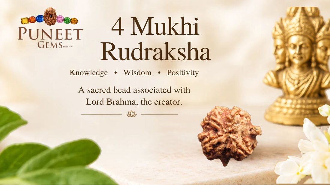 4 Mukhi Rudraksha Benefits & Uses | Buy Rudraksha Online, Silver Rudraksha – Puneet Gems