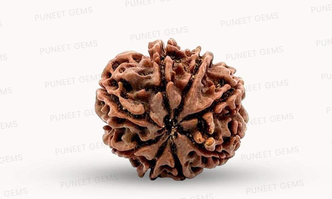 buy 100% original Rudraksha online