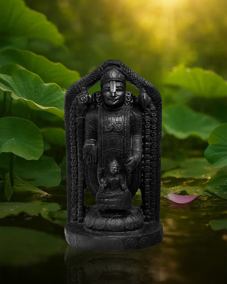 Shaligram Ji