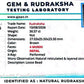 Nepali 4 Mukhi Rudraksha