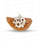 1 Mukhi Rudraksha Om Silver Locket