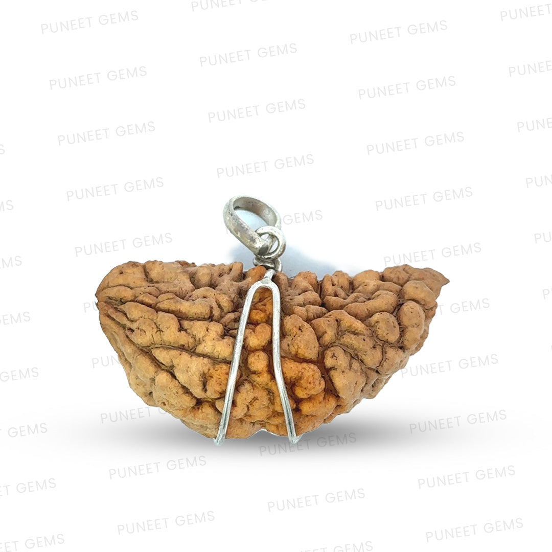 1 Mukhi Rudraksha Om Silver Locket