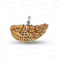 1 Mukhi Rudraksha Trishul Silver Locket