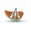 1 Mukhi Rudraksha Trishul Silver Locket