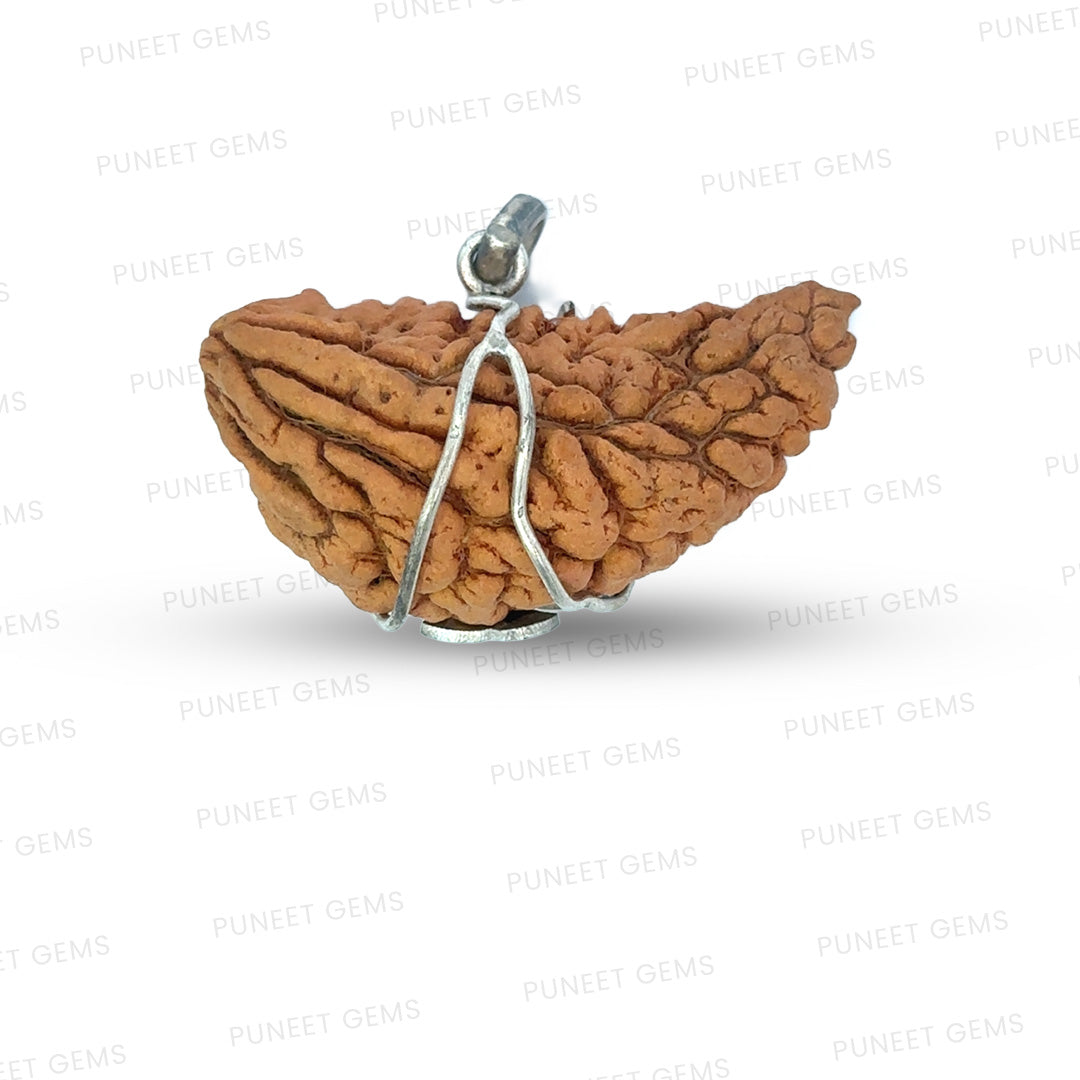 1 Mukhi Rudraksha Trishul Silver Locket