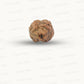 2 Mukhi Nepali Rudraksha (Authentic Nepal Origin)