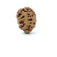 2 Mukhi Nepali Rudraksha (Authentic Nepal Origin)