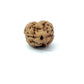 2 Mukhi Nepali Rudraksha (Authentic Nepal Origin)
