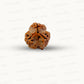 3 Mukhi Nepali Rudraksha (Authentic Nepal Origin)