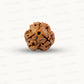 3 Mukhi Nepali Rudraksha (Authentic Nepal Origin)