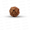 4 Mukhi Nepali Rudraksha